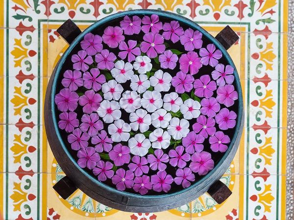 Asia-Vietnam-Mui Ne Pink and white flowers floating on water in a large pot